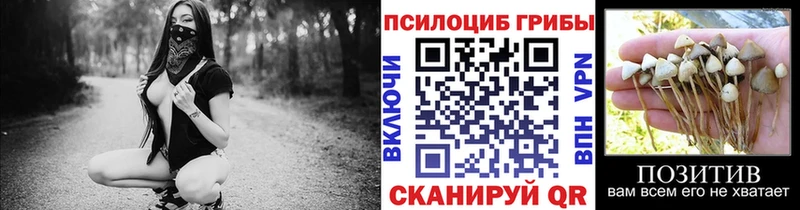 где купить наркоту  это официальный сайт  Галлюциногенные грибы GOLDEN TEACHER  Ленинск-Кузнецкий 
